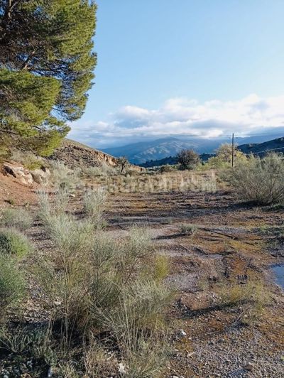 Image No.3-Terre de 4 chambres à vendre à Somontín