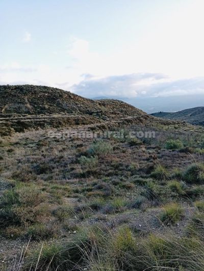 Image No.4-Terre de 4 chambres à vendre à Somontín