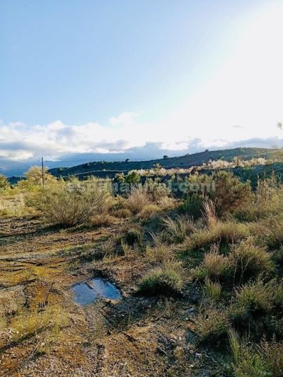 Image No.5-Terre de 4 chambres à vendre à Somontín