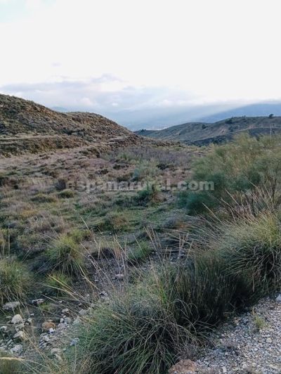 Image No.6-Terre de 4 chambres à vendre à Somontín