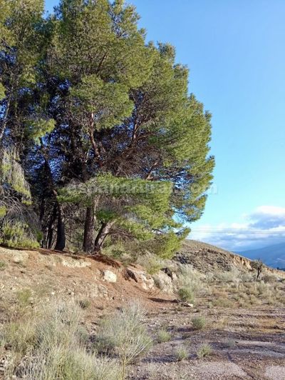 Image No.7-Terre de 4 chambres à vendre à Somontín