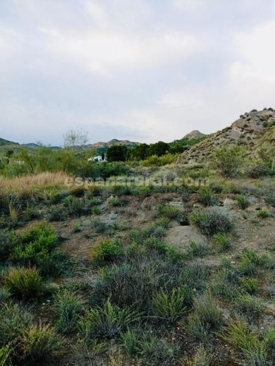 Image No.8-Terre de 4 chambres à vendre à Somontín