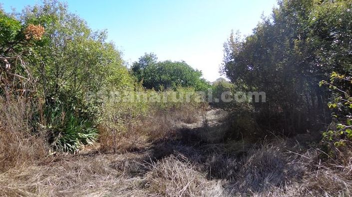 Image No.21-3 Bed Country House for sale