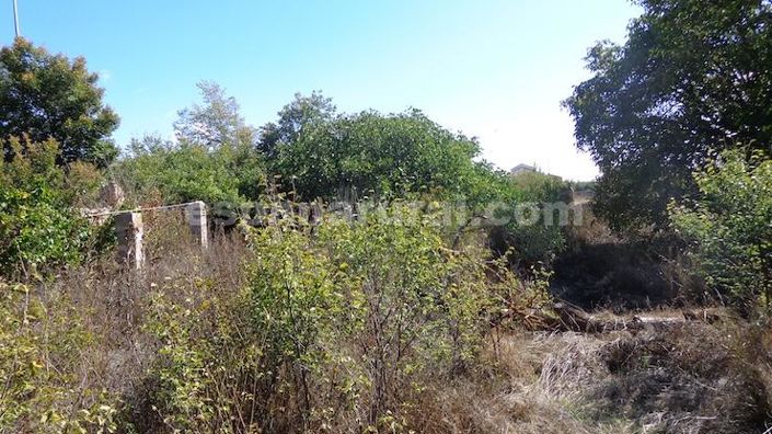 Image No.22-3 Bed Country House for sale