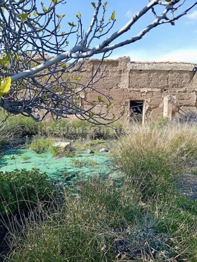 Image No.13-Maison de campagne de 3 chambres à vendre à Taberno