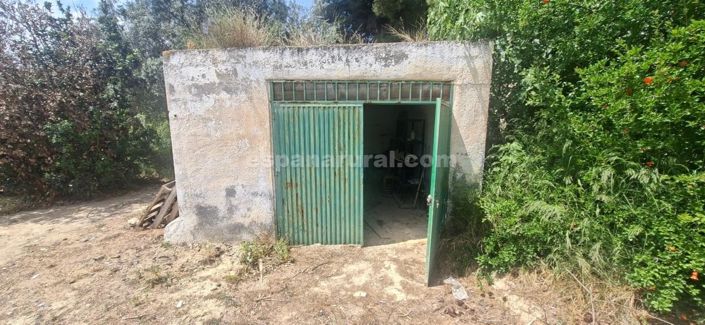 Image No.23-5 Bed Country House for sale