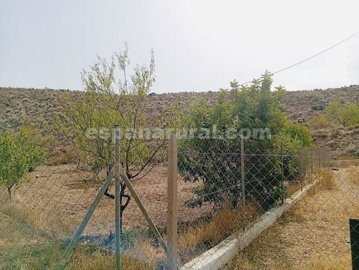 xml41096