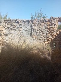xml41157