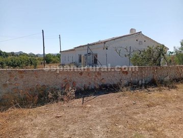 xml41177