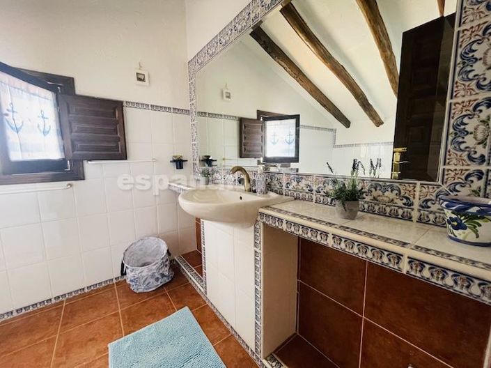 Image No.22-4 Bed Country House for sale