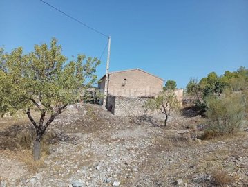 xml41379