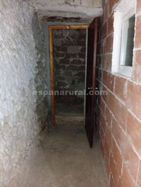 xml41392
