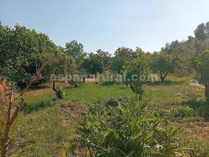 Image No.11-5 Bed Country House for sale