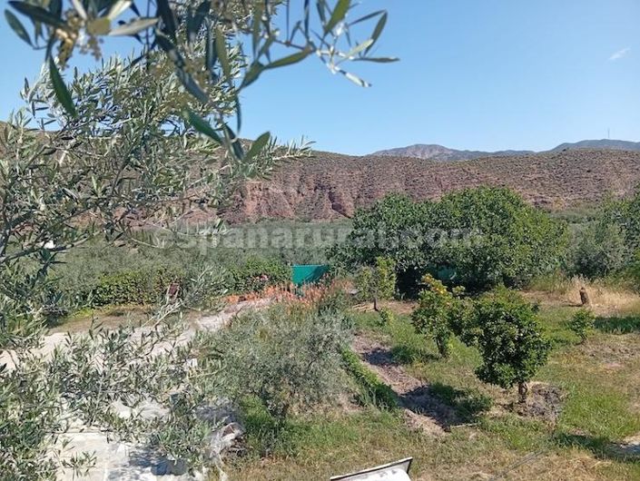 Image No.12-5 Bed Country House for sale