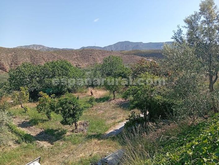 Image No.15-5 Bed Country House for sale