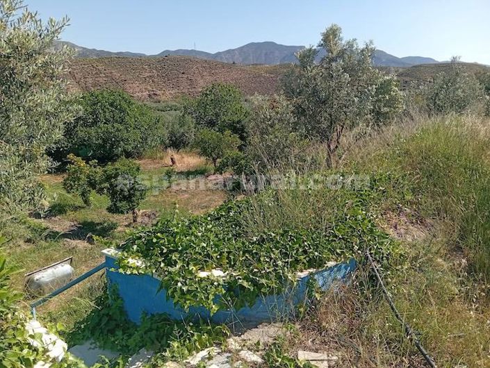Image No.18-5 Bed Country House for sale