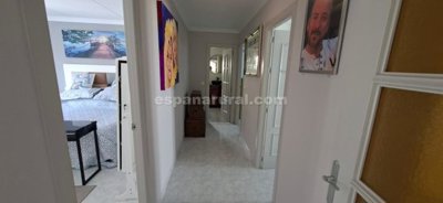 xml41299