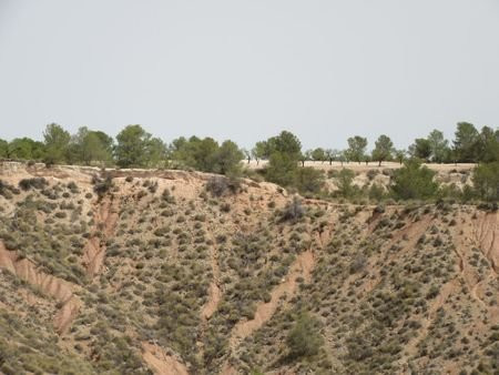 Image No.4-Terrain à vendre à Murcie