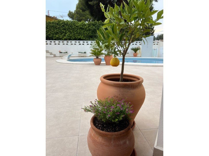 Image No.19-4 Bed Villa for sale