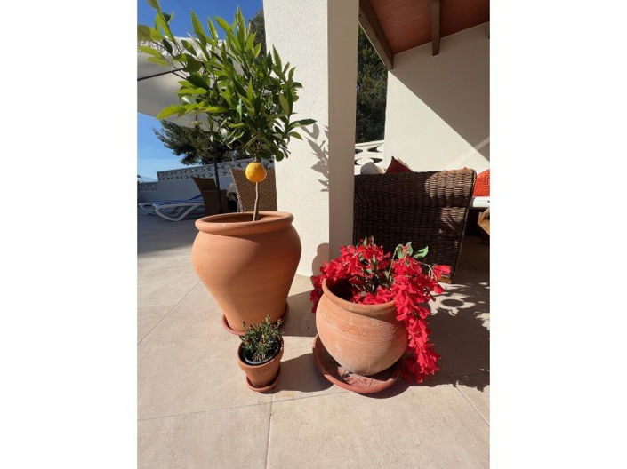 Image No.49-4 Bed Villa for sale