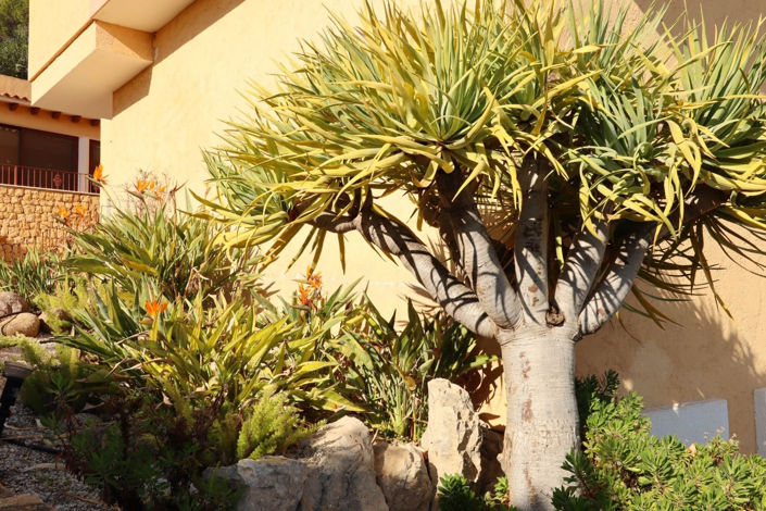 Image No.15-Villa de 5 chambres à vendre à Valencia