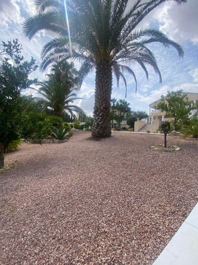 Image No.9-Villa de 3 chambres à vendre à Alicante