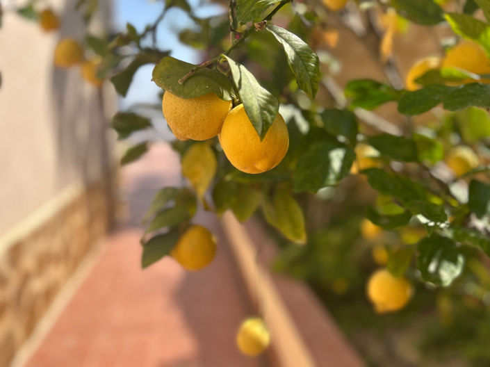 Image No.27-Villa de 3 chambres à vendre à Alicante