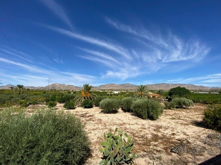 Image No.41-5 Bed Country House for sale