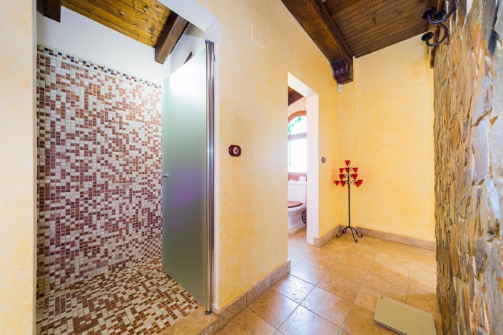 Image No.38-5 Bed Finca for sale