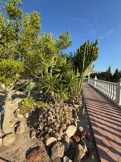 Image No.11-4 Bed Villa for sale