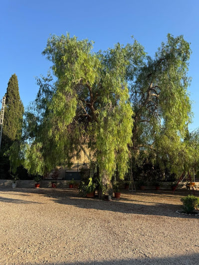 Image No.6-4 Bed Villa for sale