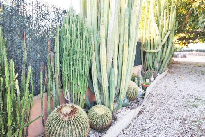 Image No.32-5 Bed Finca for sale