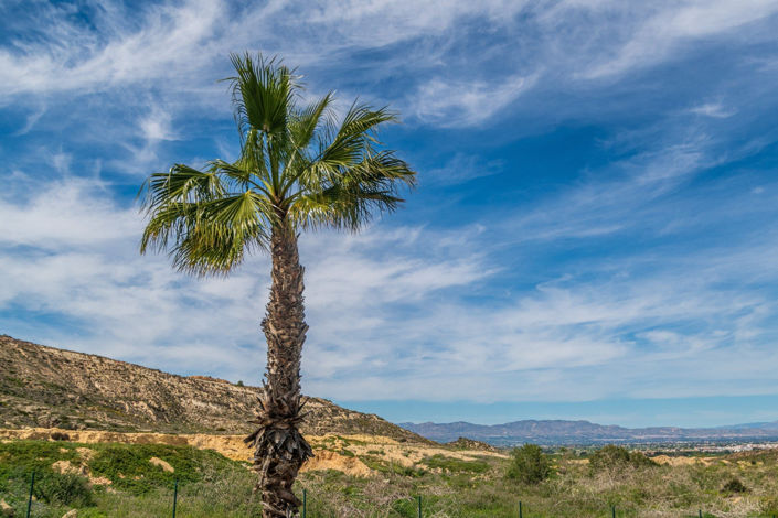 Image No.27-3 Bed Apartment for sale