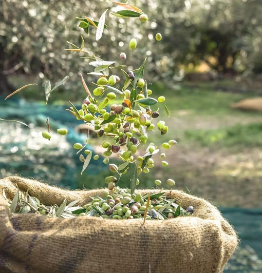 Image No.2-Plot for sale