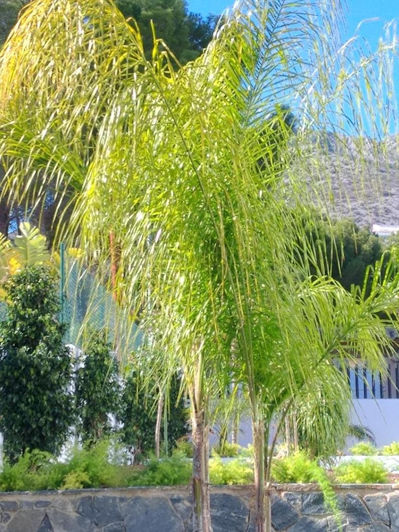 Image No.26-4 Bed Villa for sale