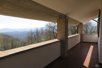 1577970954xqrlrrutiqu7s6