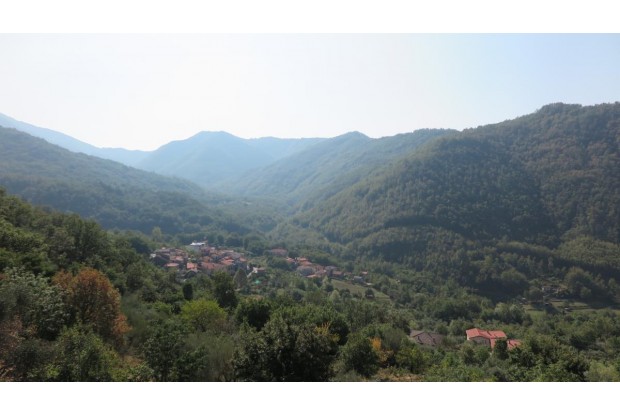 Image No.16-1 Bed House for sale