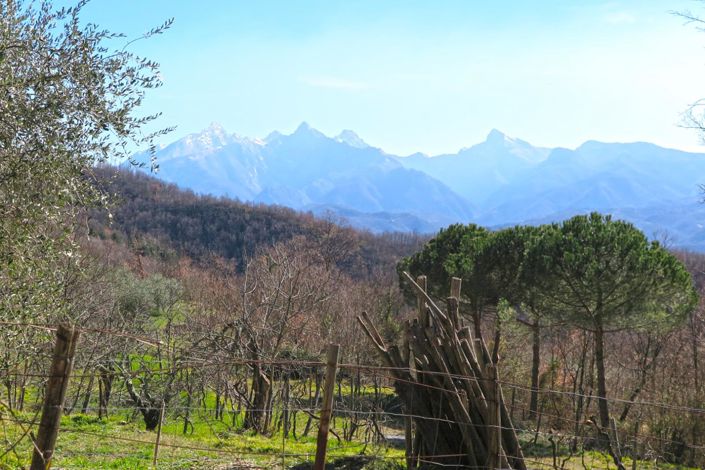 Image No.34-1 Bed Farmhouse for sale