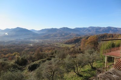 1750071006pzdactnbdxoje0