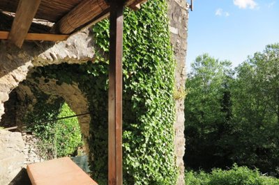 1716193685mko9kszcurb9wo