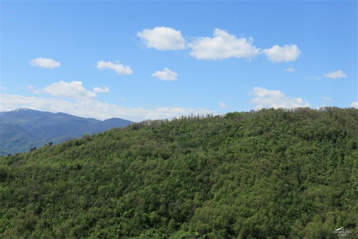 Image No.21-3 Bed Property for sale