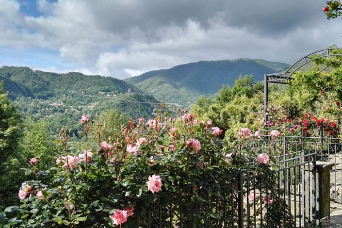 Image No.17-Ferme de 9 chambres à vendre à Mulazzo
