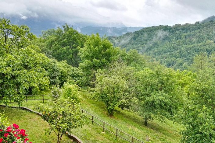 Image No.52-Ferme de 9 chambres à vendre à Mulazzo