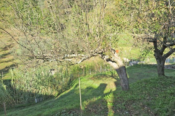 Image No.34-2 Bed Property for sale