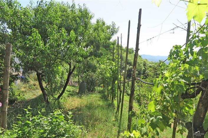 Image No.25-3 Bed Property for sale