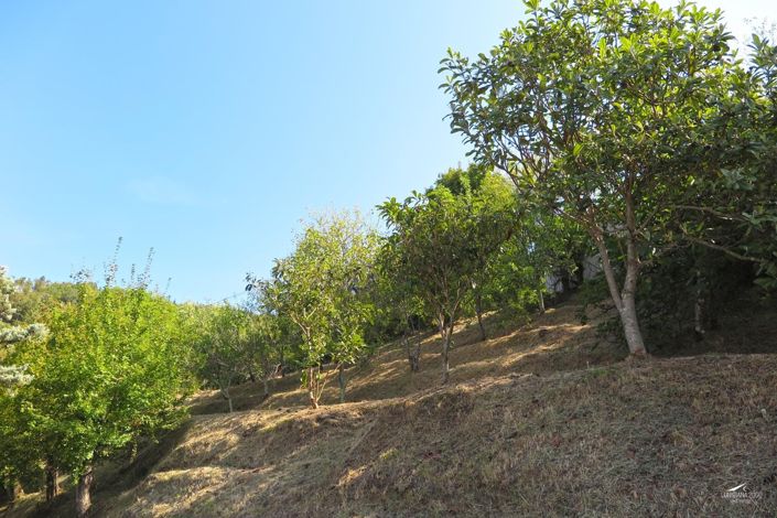 Image No.32-8 Bed Property for sale