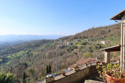 1774612245leqnh04e9scgmt