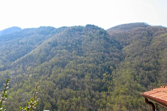 Image No.46-4 Bed Village House for sale