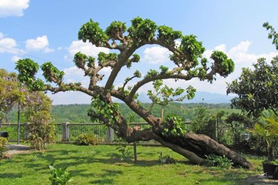 1675789176gbvhkyewakohpq