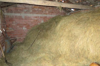 1702374417qvkxuk3gkmn9ox